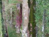 image of grave number 527561
